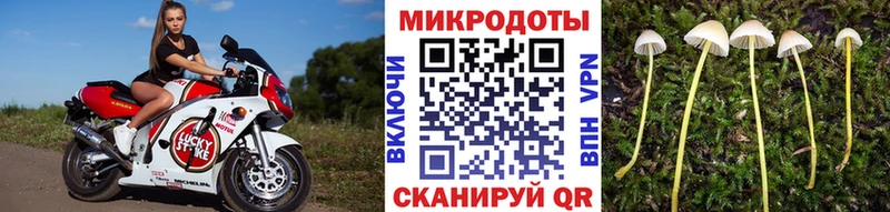 хочу наркоту  OMG tor  Псилоцибиновые грибы Cubensis  Нижний Ломов 